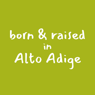 Stone Pine Bed with Paneling