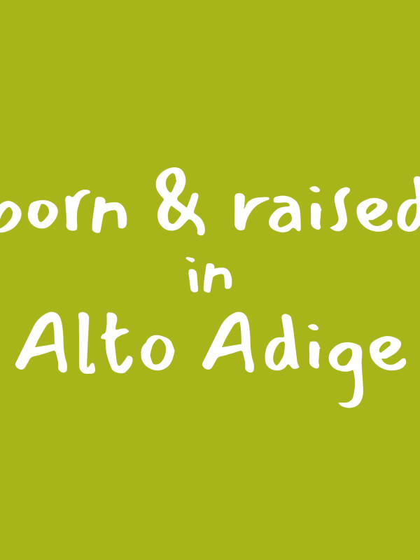 Stone Pine Bed with Paneling