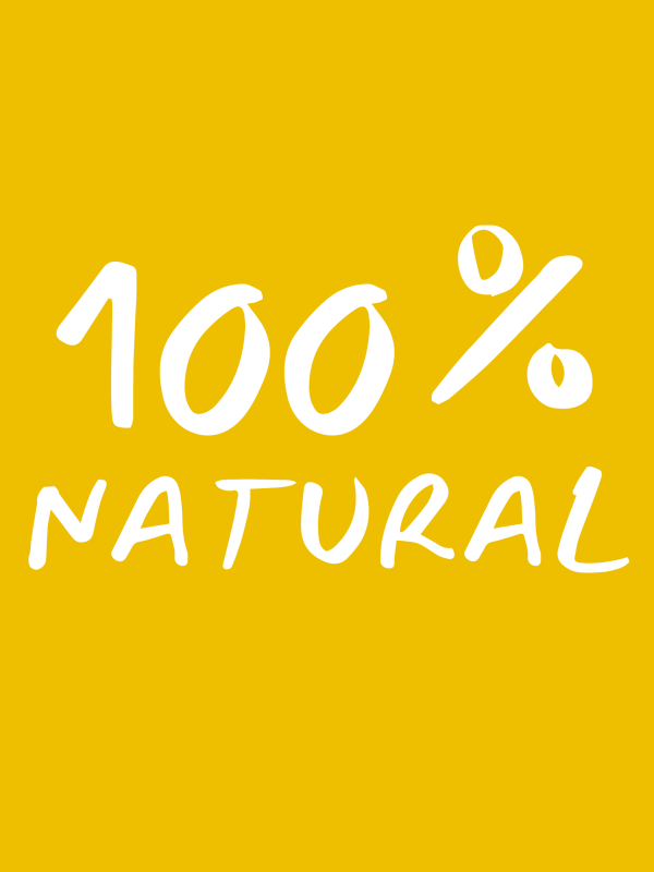 Stone Pine Bed with Paneling