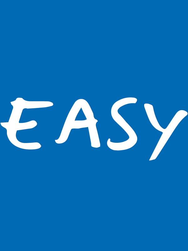 Stone Pine Bed with Paneling