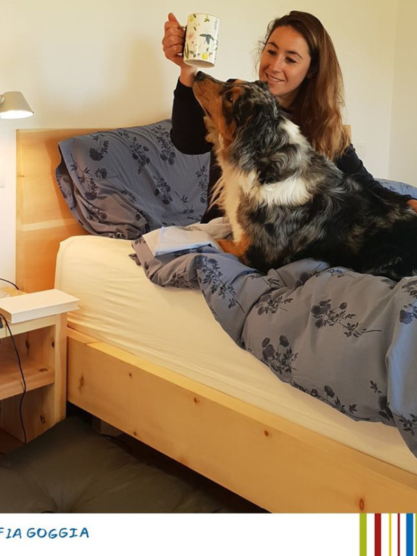 Solid Stone Pine Bed