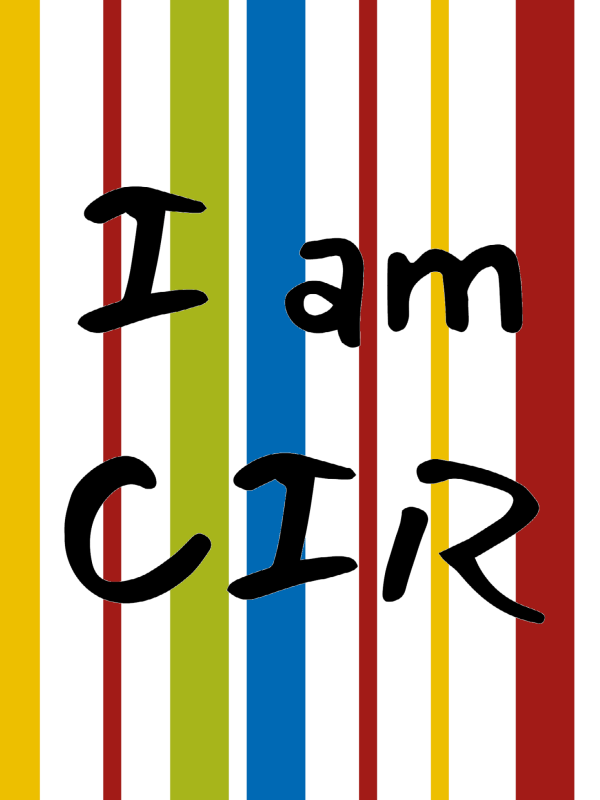 Stone Pine Bed with Paneling