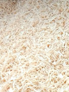 Stone Pine Shavings from Val Badia
