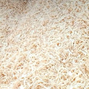 Stone Pine Shavings from Val Badia