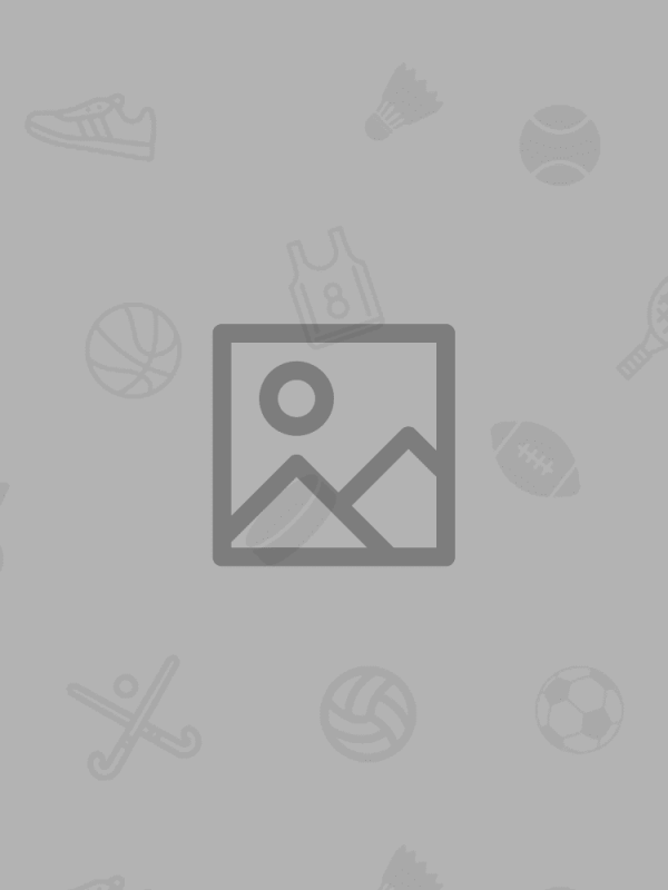 Stone Pine Bed with Paneling